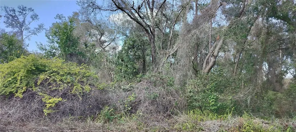204 Adelphi Street Inverness FL 34452