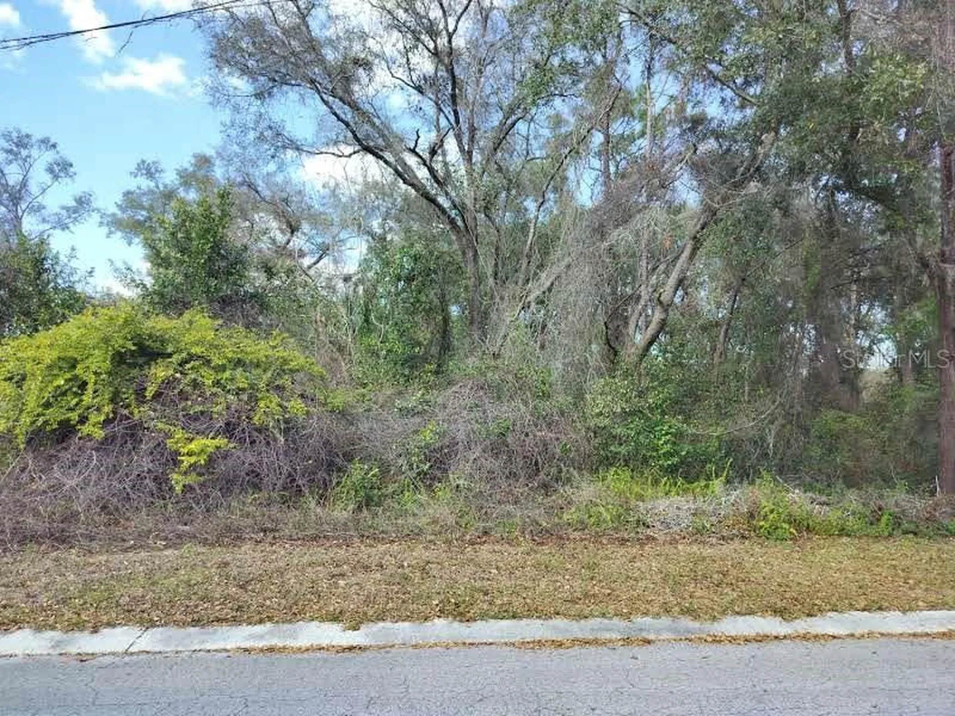 204 Adelphi Street Inverness FL 34452