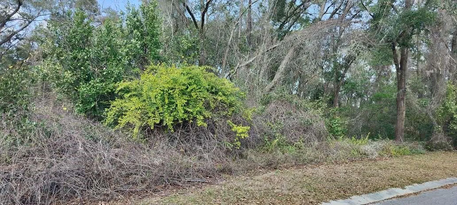 204 Adelphi Street Inverness FL 34452