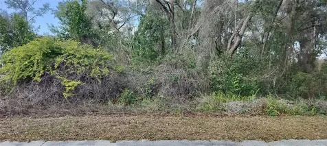 204 Adelphi Street Inverness FL 34452