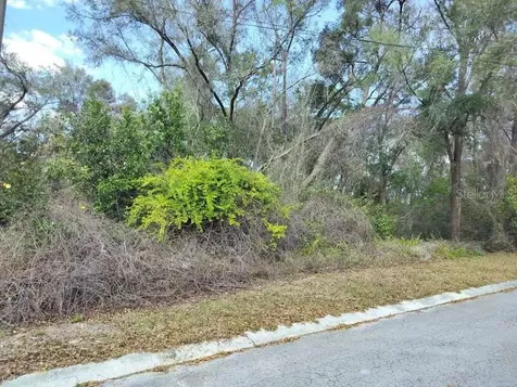 204 Adelphi Street Inverness FL 34452