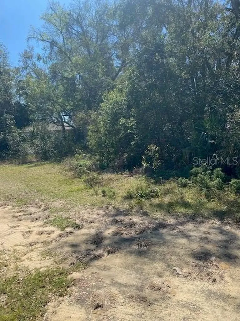 S Mary Street Eustis FL 32726
