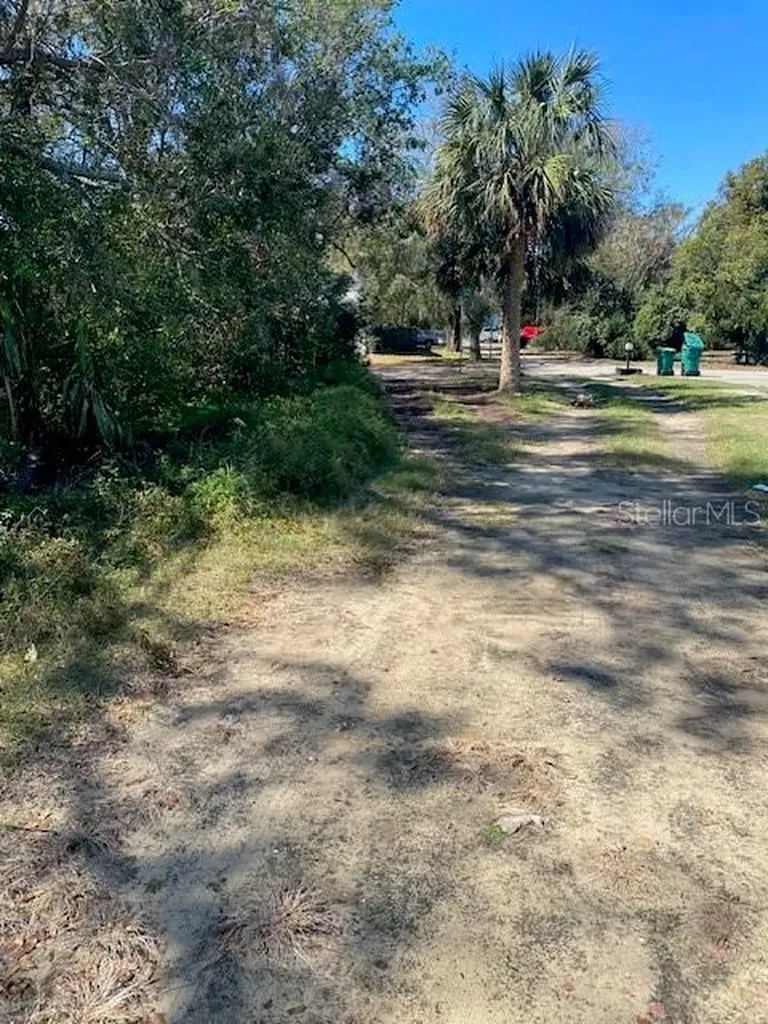 S Mary Street Eustis FL 32726