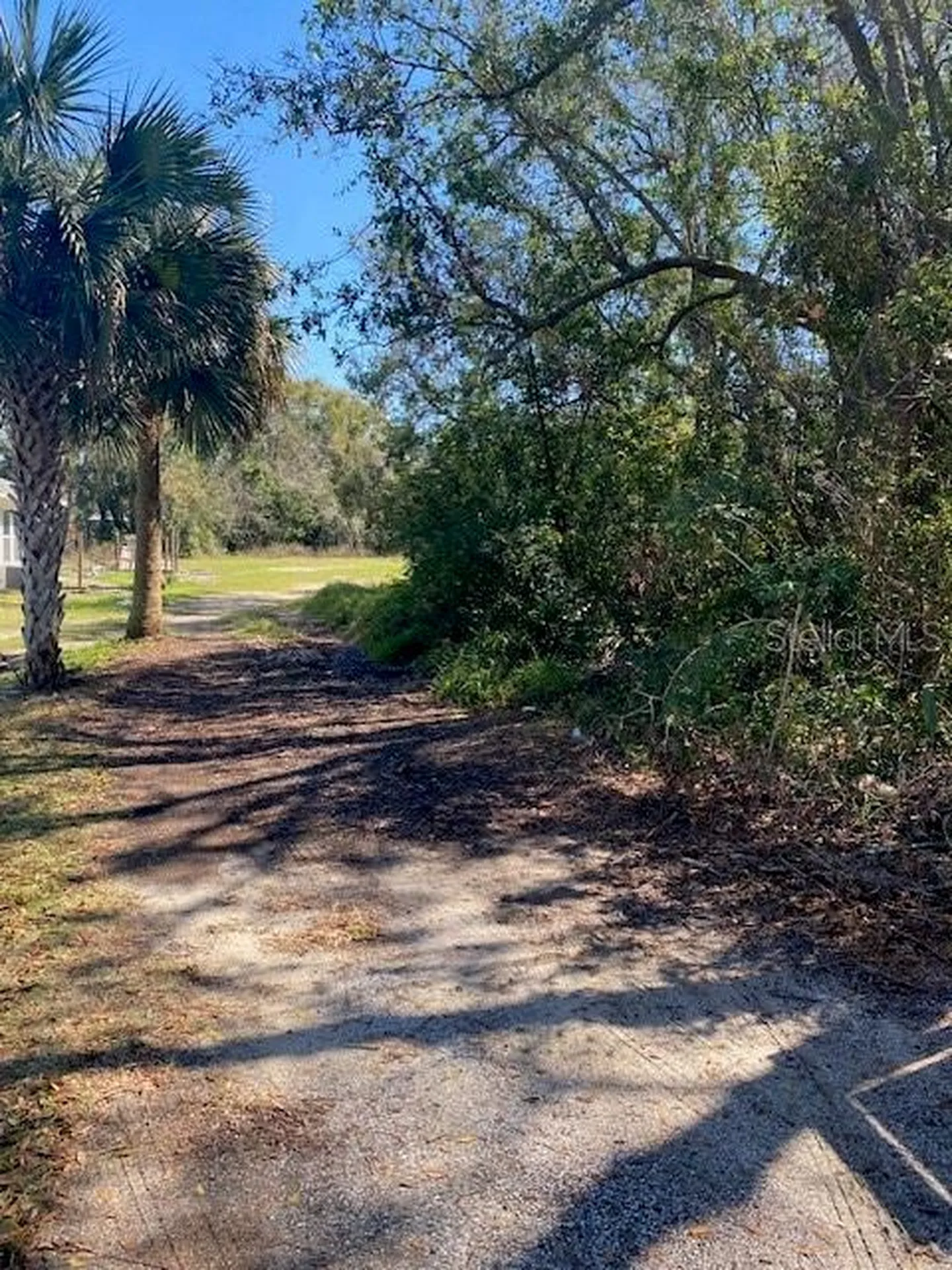 S Mary Street Eustis FL 32726