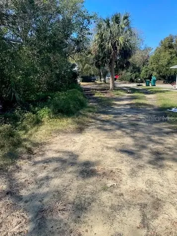 S Mary Street Eustis FL 32726