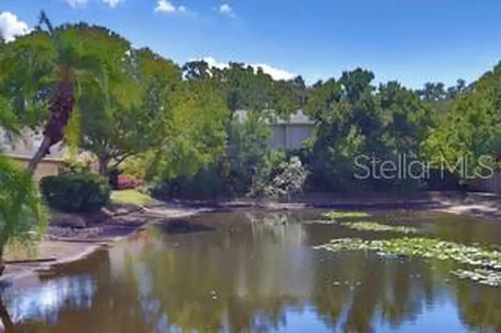 5231 Bayshore Boulevard Tampa FL 33611