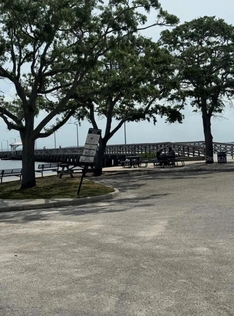 5231 Bayshore Boulevard Tampa FL 33611