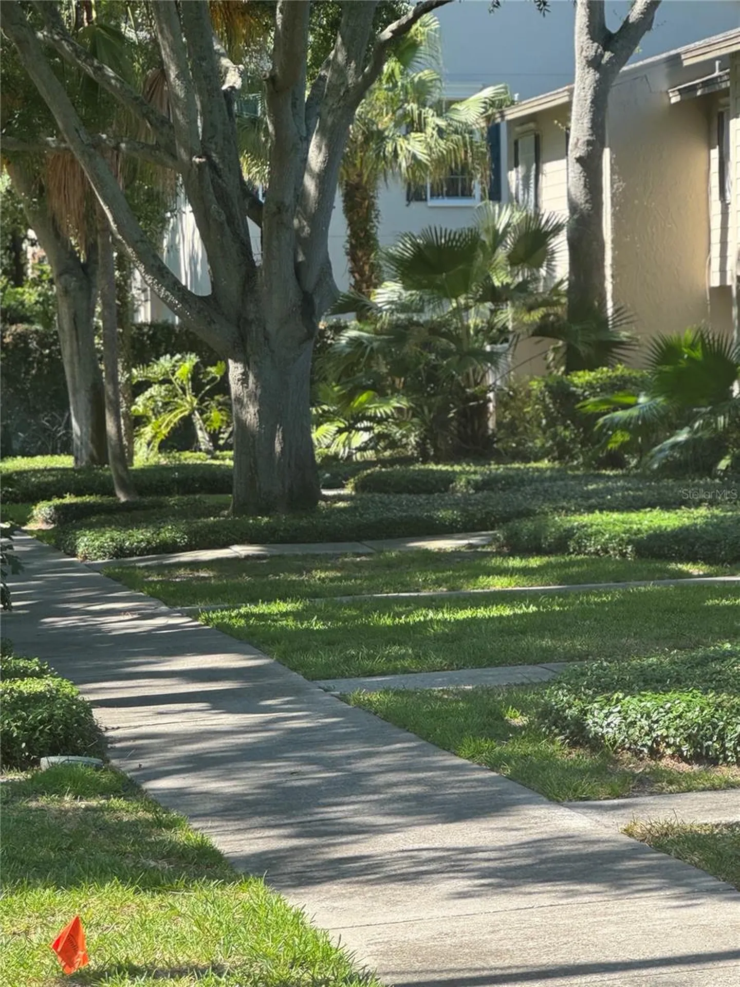 5231 Bayshore Boulevard Tampa FL 33611