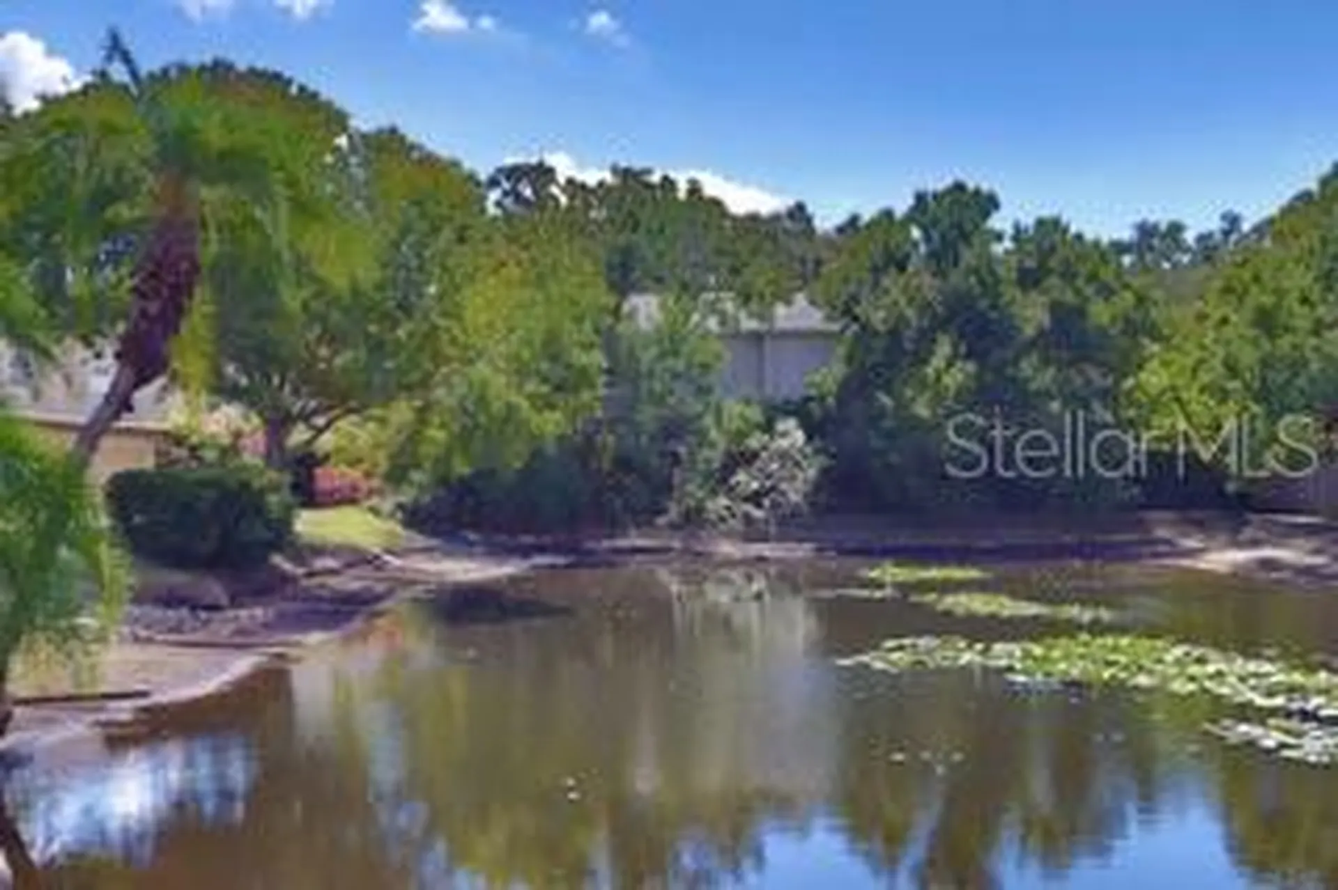 5231 Bayshore Boulevard Tampa FL 33611