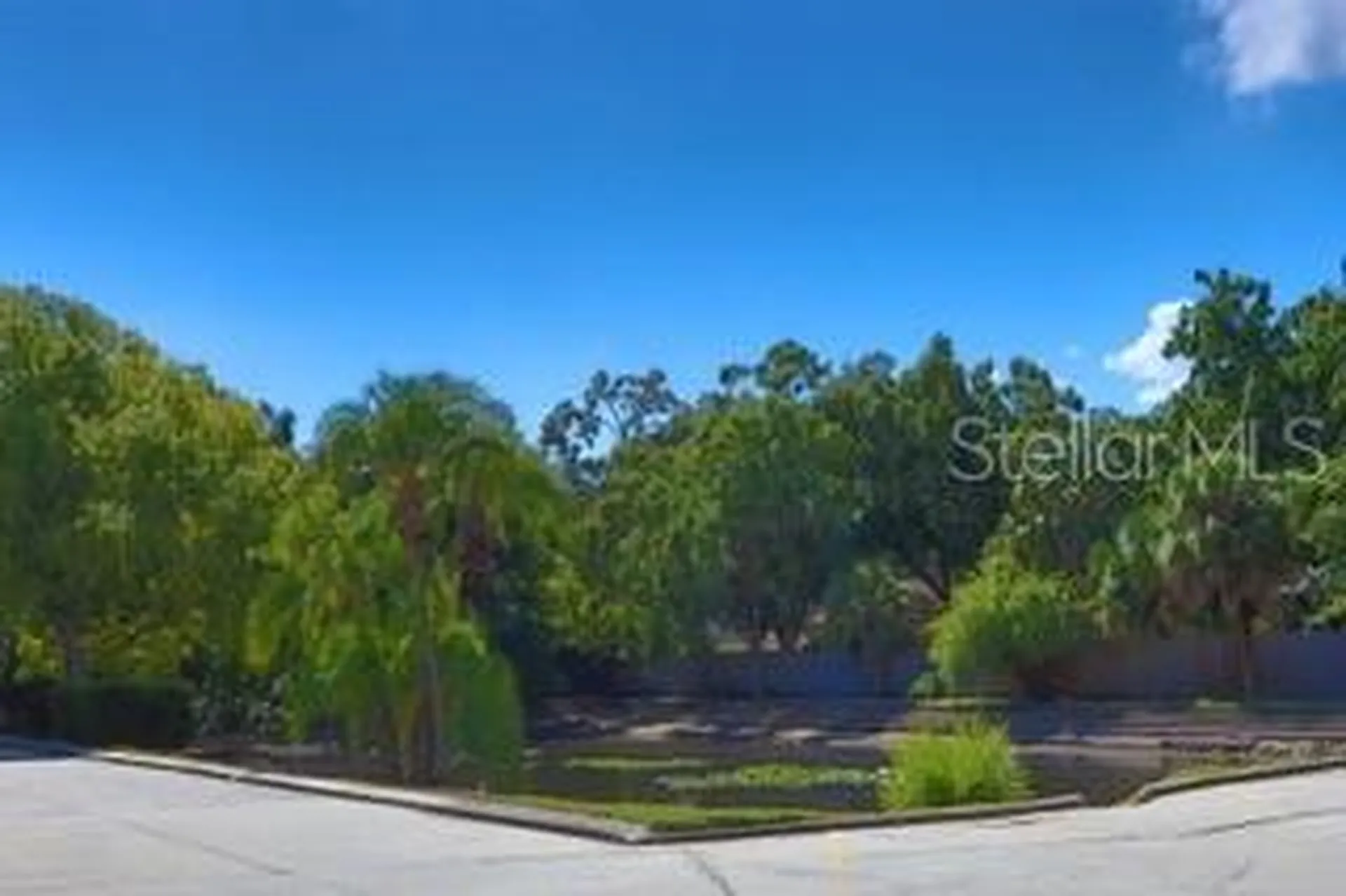 5231 Bayshore Boulevard Tampa FL 33611