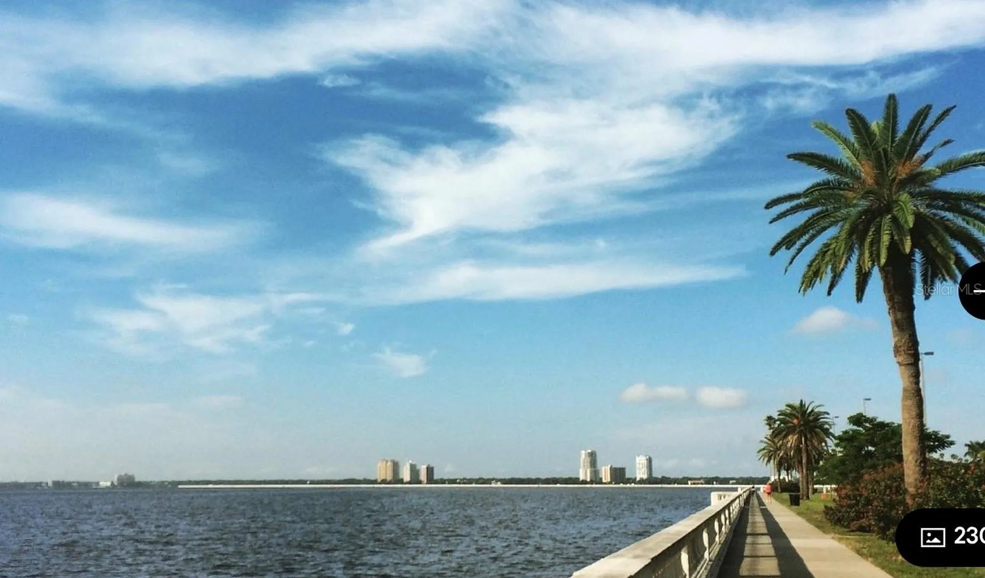5231 Bayshore Boulevard Tampa FL 33611