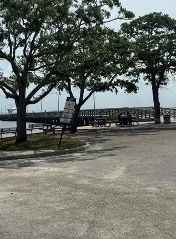 5231 Bayshore Boulevard Tampa FL 33611