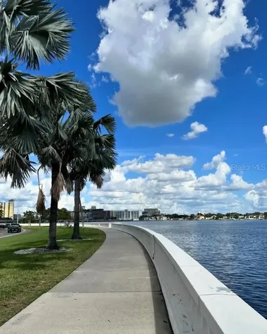 5231 Bayshore Boulevard Tampa FL 33611