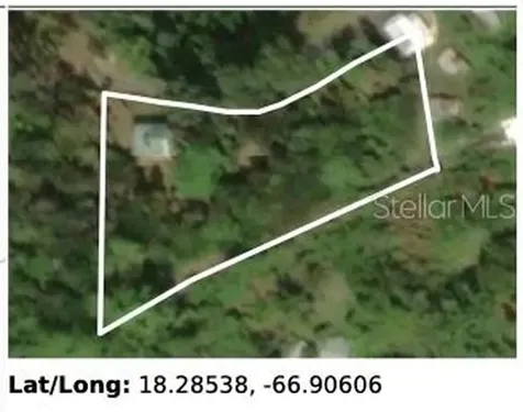 Sr 436 Km 1.1 Barrio Espino Sector Los Medina Lares PR 00669