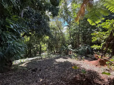 Sr 436 Km 1.1 Barrio Espino Sector Los Medina Lares PR 00669