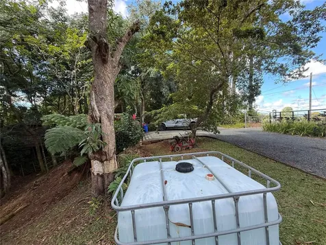 Sr 436 Km 1.1 Barrio Espino Sector Los Medina Lares PR 00669