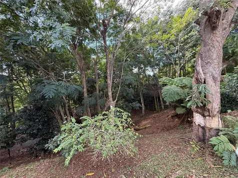 Sr 436 Km 1.1 Barrio Espino Sector Los Medina Lares PR 00669