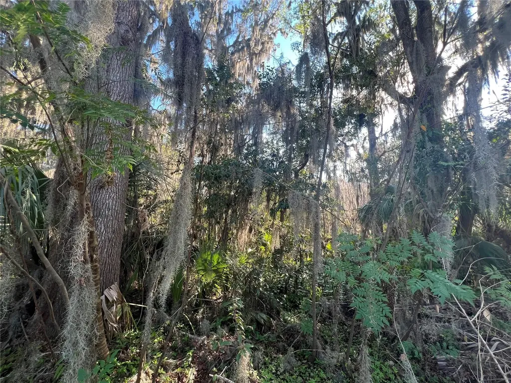 SE 14 Street Ocala FL 34470