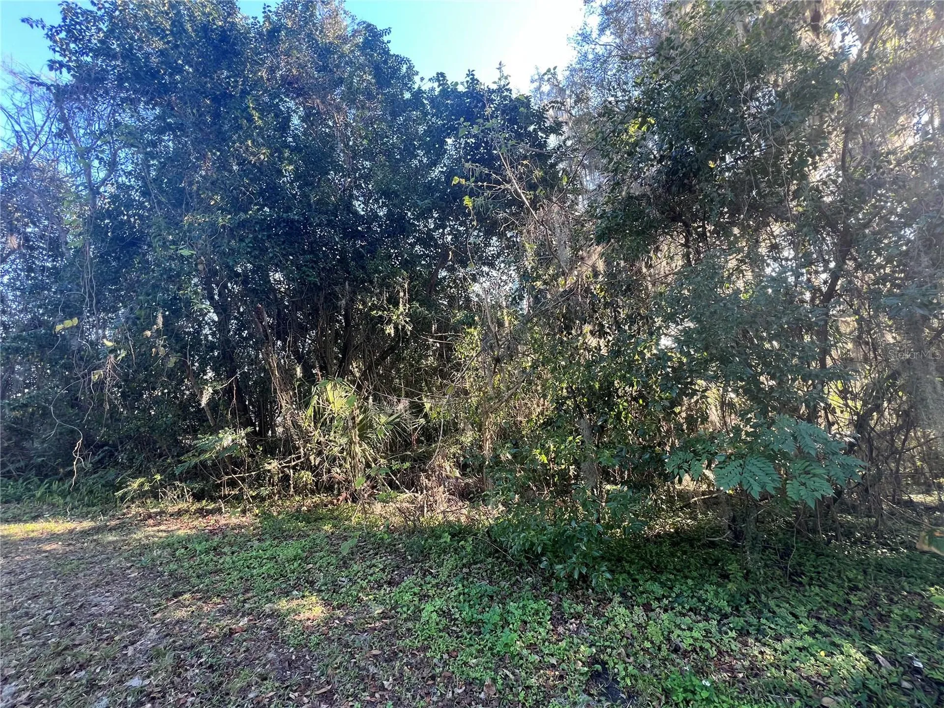 SE 14 Street Ocala FL 34470