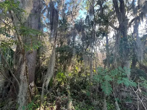 SE 14 Street Ocala FL 34470