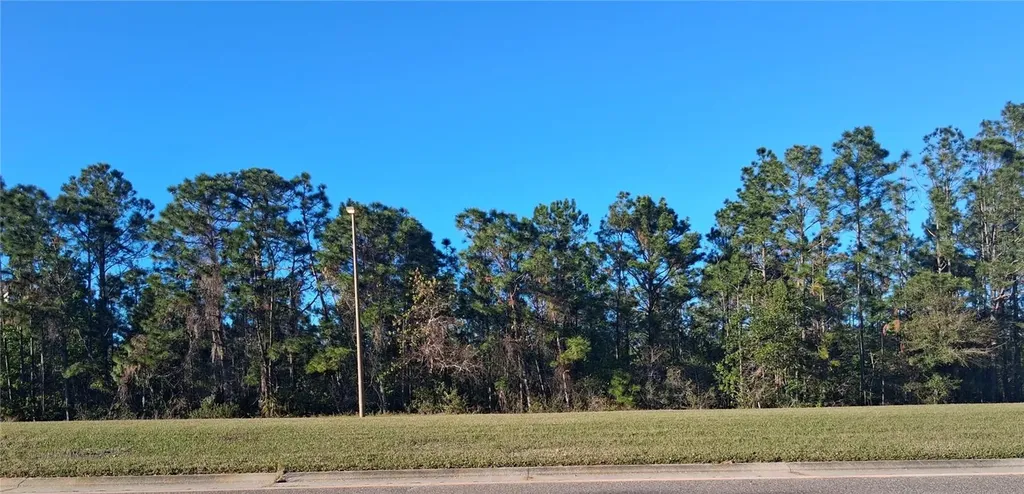 International Drive S Orlando FL 32821