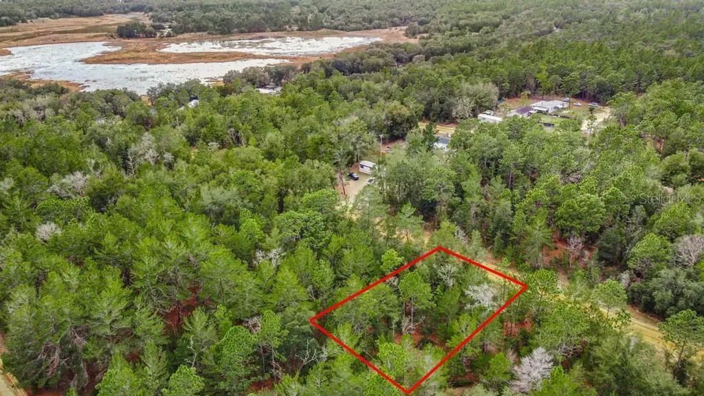 118 Cardinal Street Interlachen FL 32148