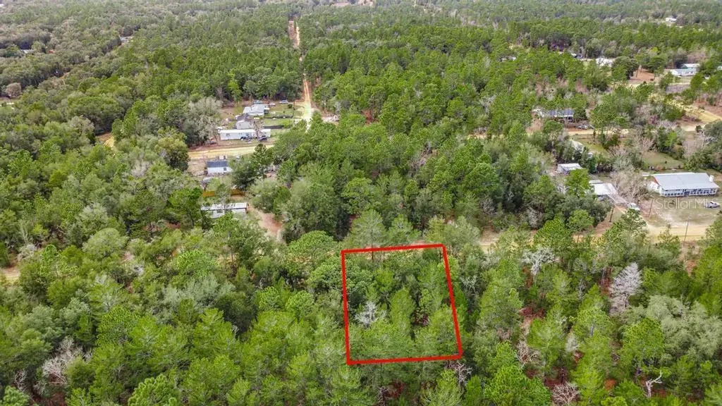 118 Cardinal Street Interlachen FL 32148
