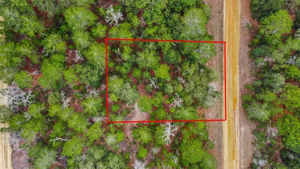 118 Cardinal Street Interlachen FL 32148