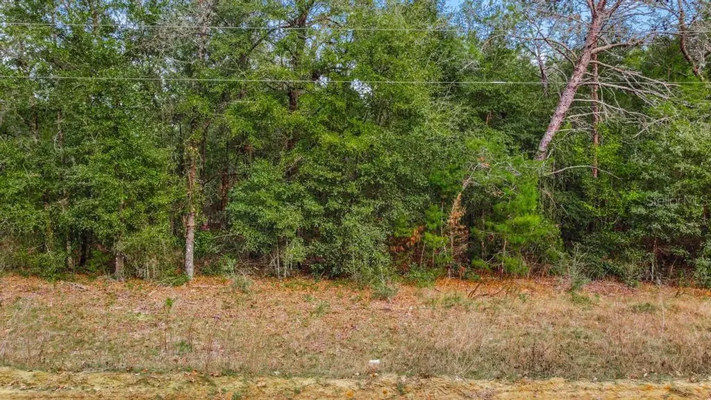 118 Cardinal Street Interlachen FL 32148