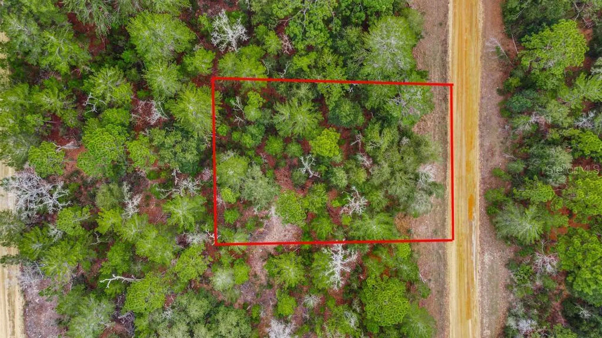 118 Cardinal Street Interlachen FL 32148