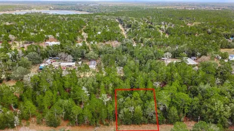 118 Cardinal Street Interlachen FL 32148