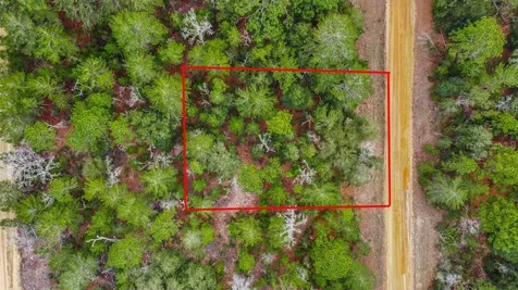 118 Cardinal Street Interlachen FL 32148