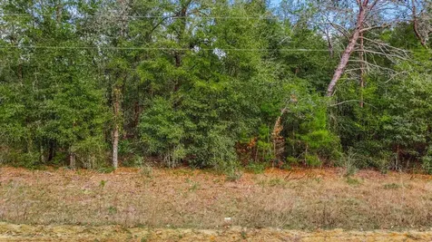 118 Cardinal Street Interlachen FL 32148