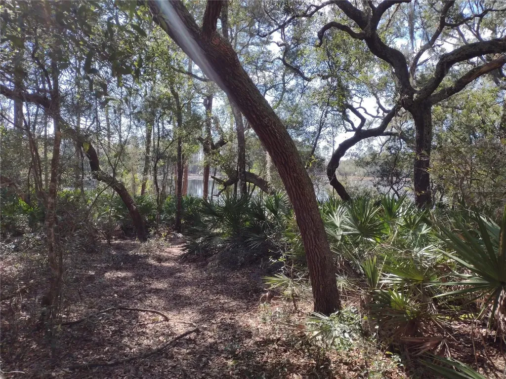 89 Tucker Lake Road Melrose FL 32666