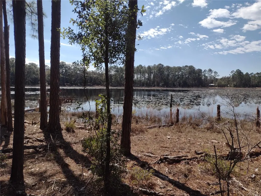 89 Tucker Lake Road Melrose FL 32666