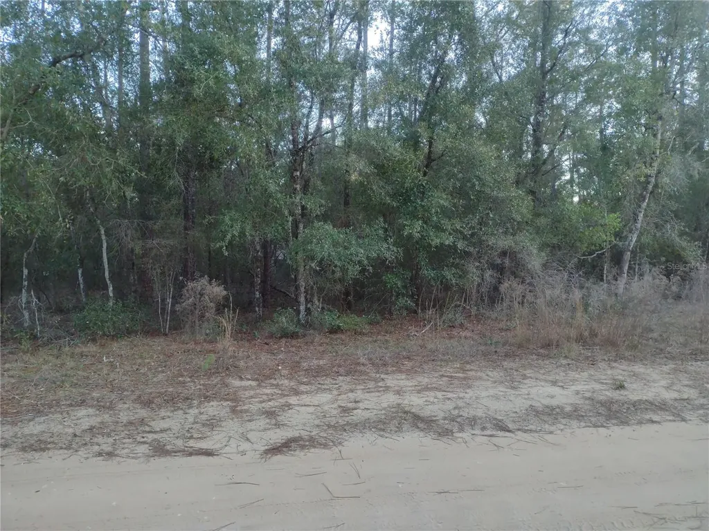 89 Tucker Lake Road Melrose FL 32666