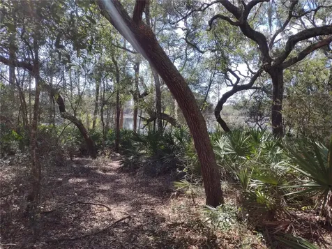 89 Tucker Lake Road Melrose FL 32666