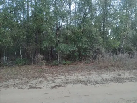 89 Tucker Lake Road Melrose FL 32666