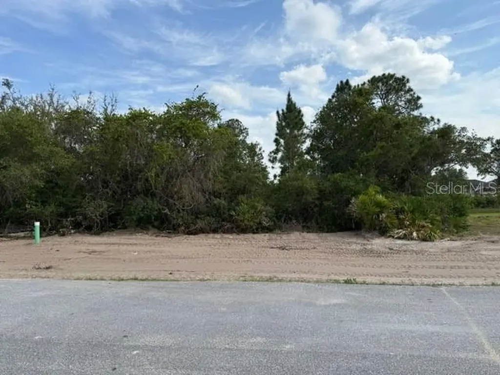1649 Redfin Drive Poinciana FL 34759