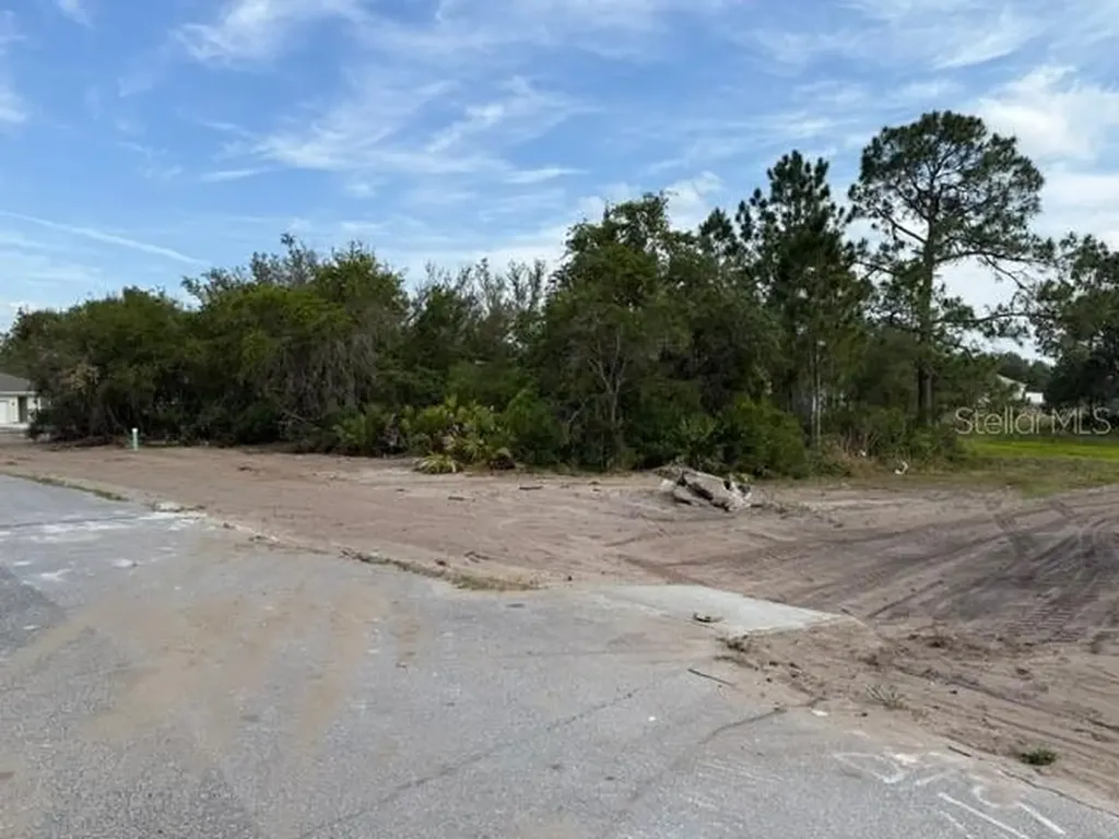 1649 Redfin Drive Poinciana FL 34759