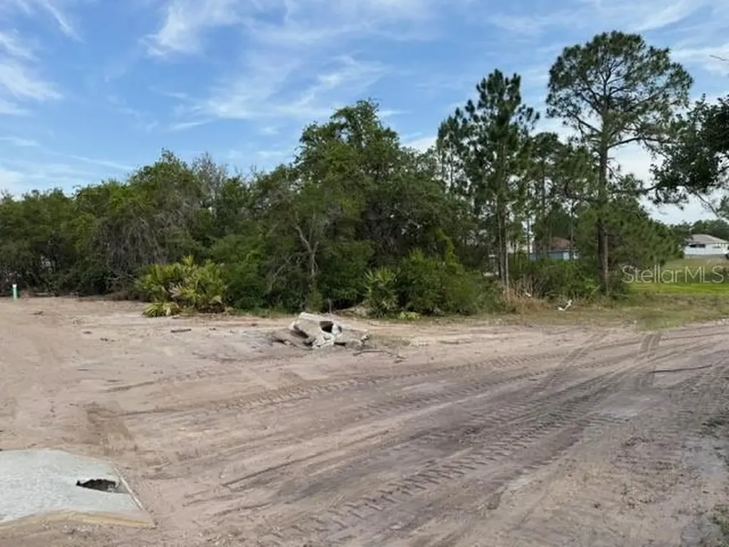 1649 Redfin Drive Poinciana FL 34759