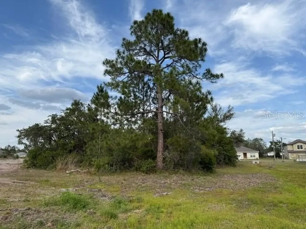 1649 Redfin Drive Poinciana FL 34759