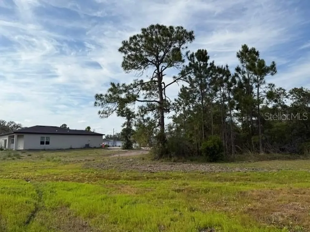 1649 Redfin Drive Poinciana FL 34759