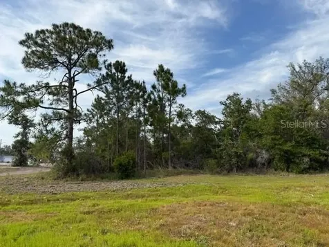 1649 Redfin Drive Poinciana FL 34759