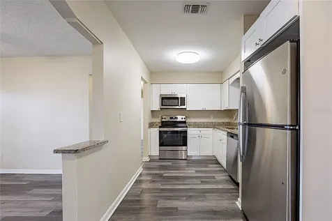 8528 Gold Ridge Circle Tampa FL 33619