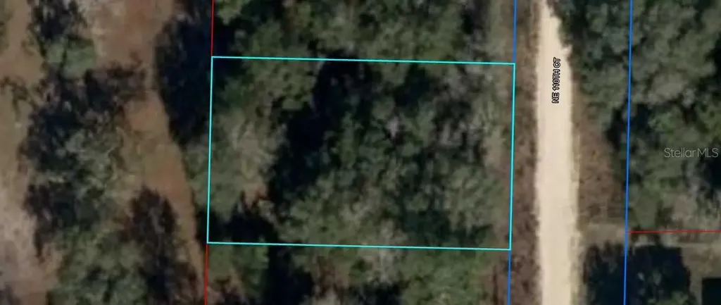NE 110th Court Williston FL 32696