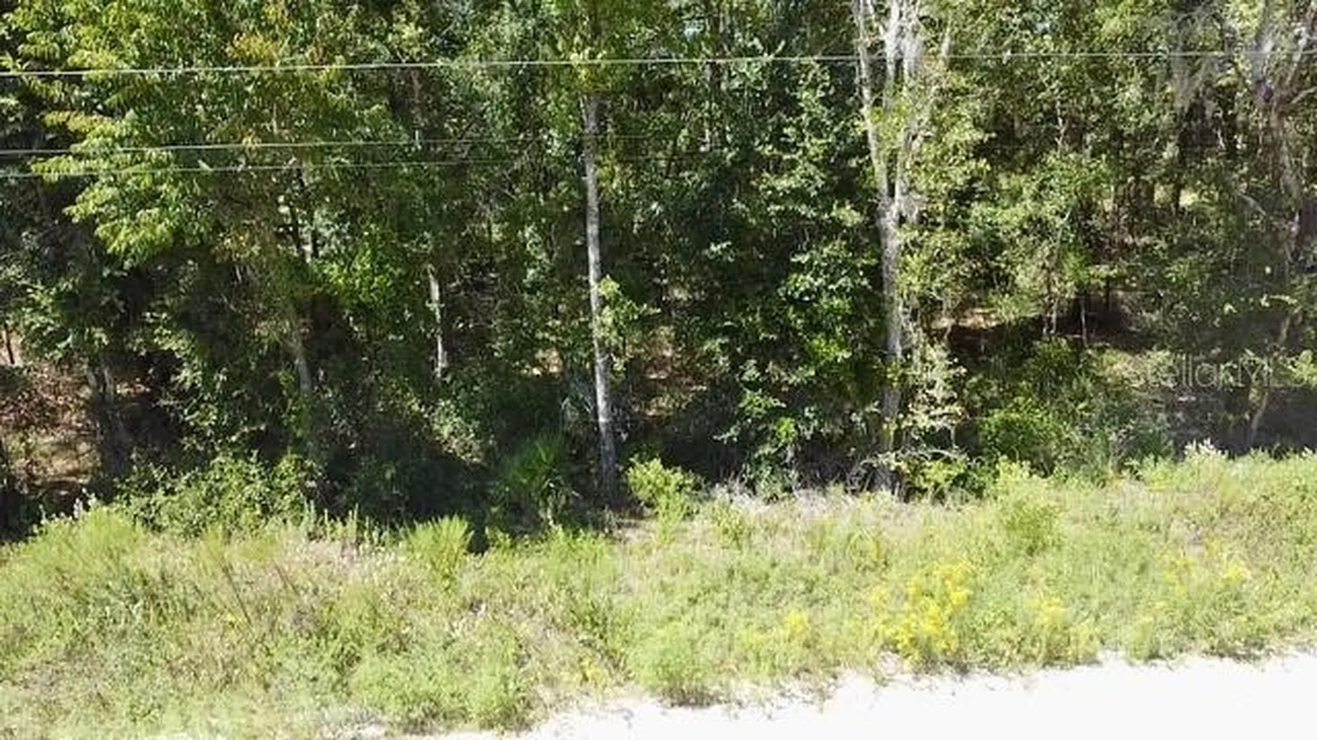 NE 110th Court Williston FL 32696