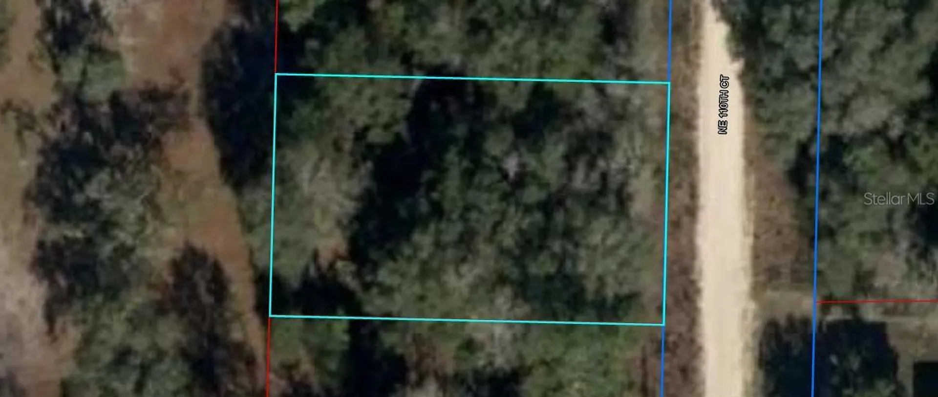 NE 110th Court Williston FL 32696