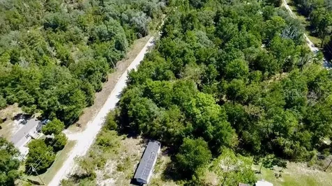 NE 110th Court Williston FL 32696
