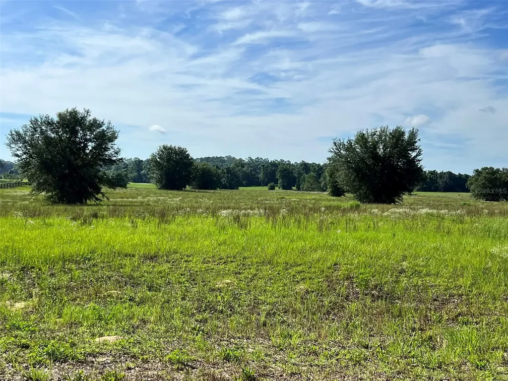 0 SE 116th Place Road Ocala FL 34480